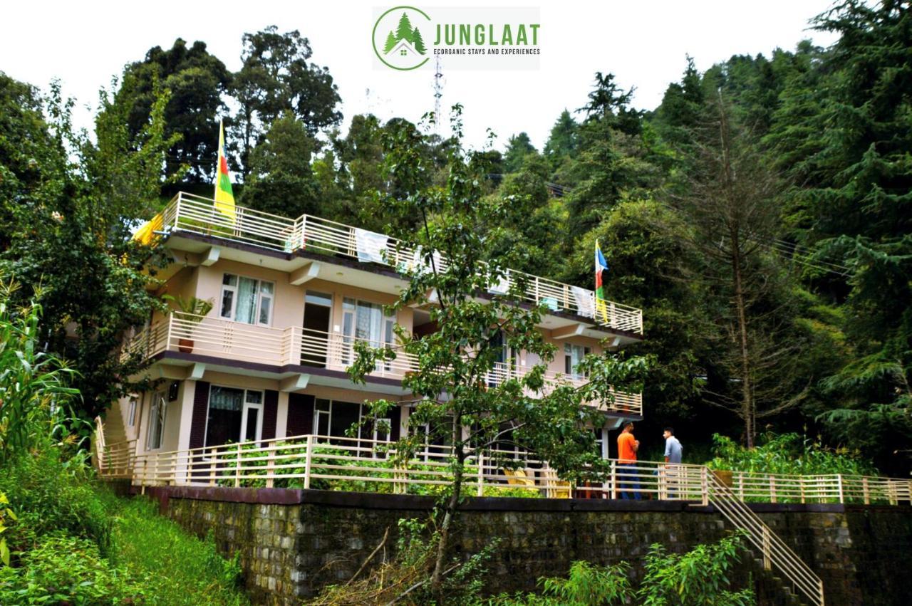 Junglaat Stays & Experiences Dharamshala Eksteriør billede